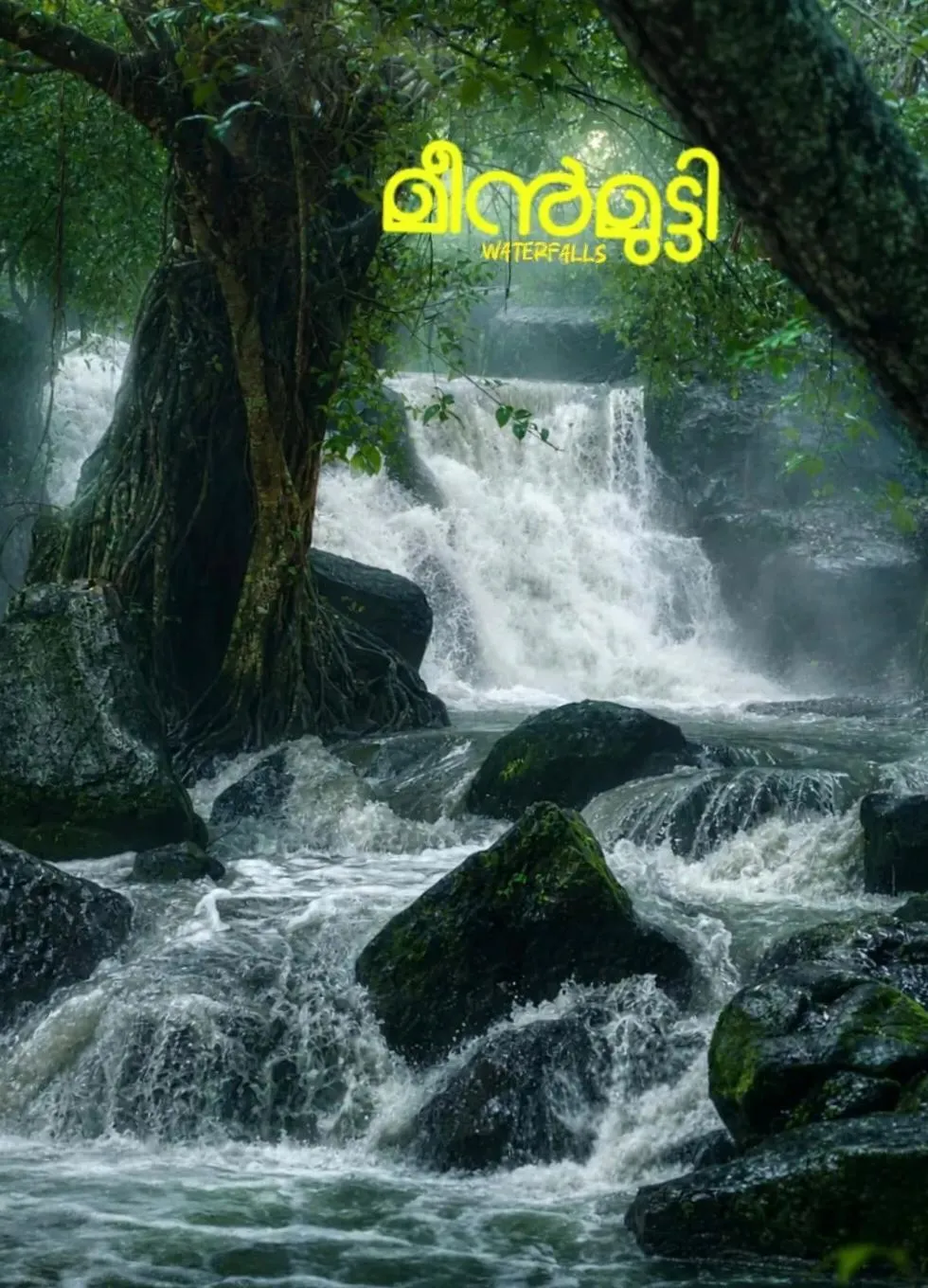 മീന്‍മുട്ടി
