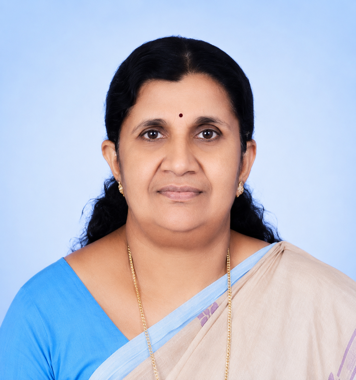 വി സുരേന്ദ്രൻ പിള്ള
