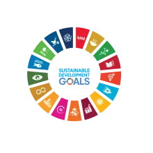 Department of Economic and Social Affairs Sustainable Development