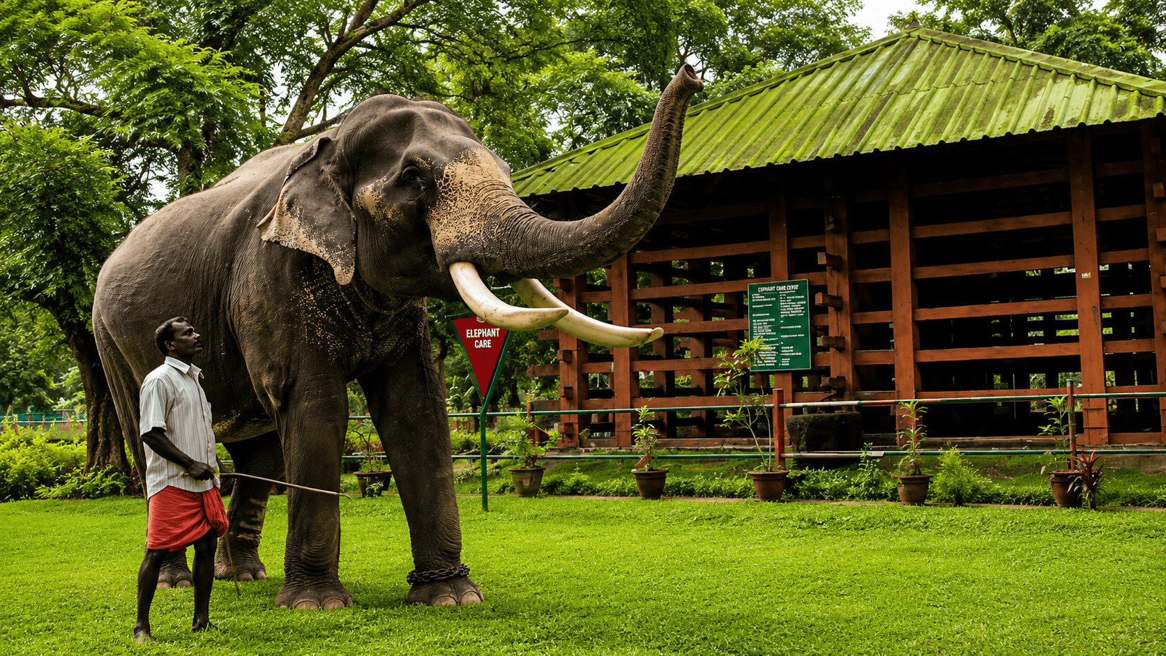 Konni Elephant Camp 
