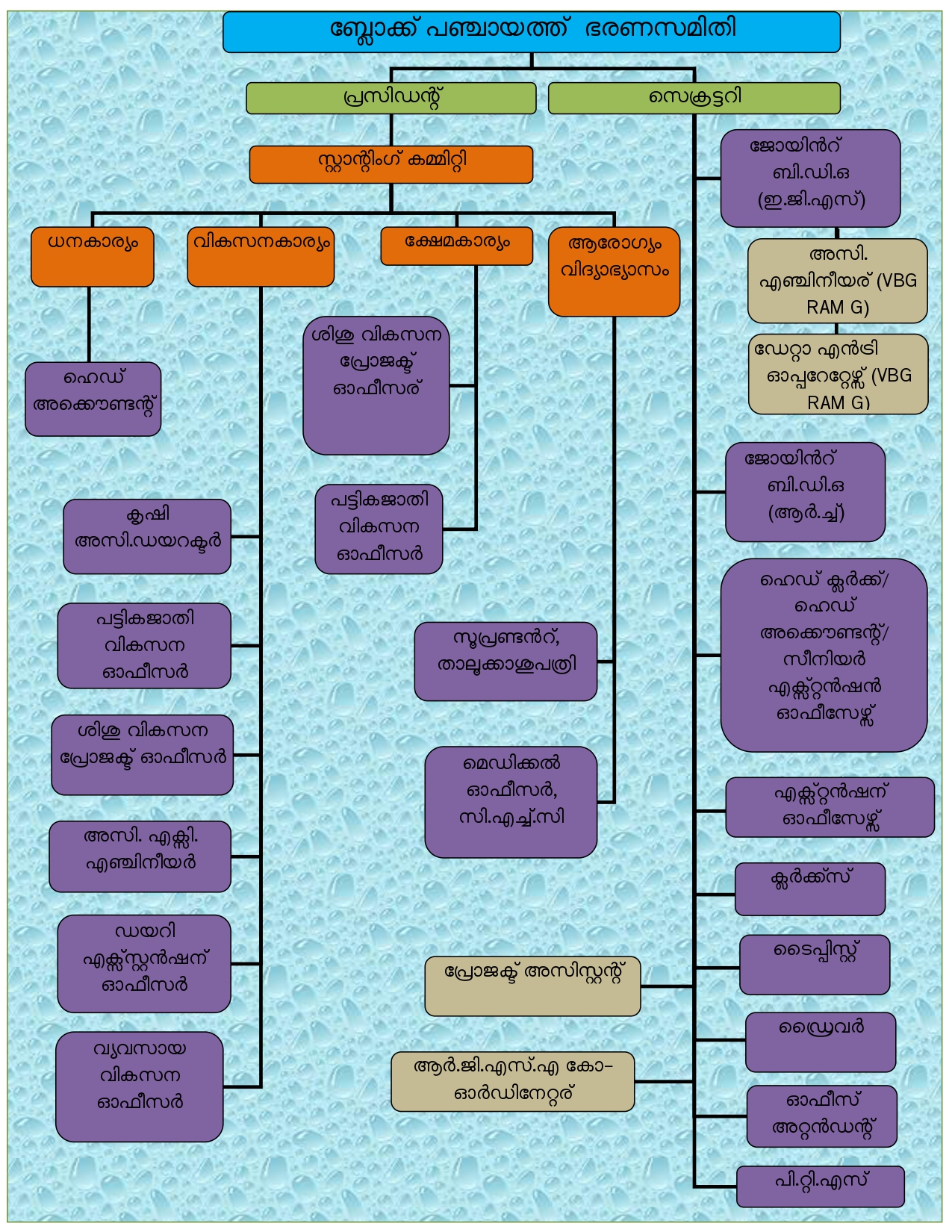 സ്ഥാപന ഘടന