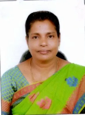 മിനി ടോമി