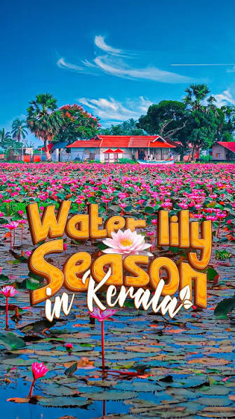 മലരിക്കല്‍ ടൂറിസം
