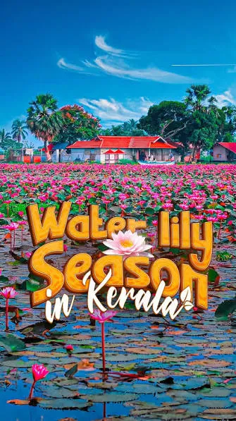മലരിക്കൽ