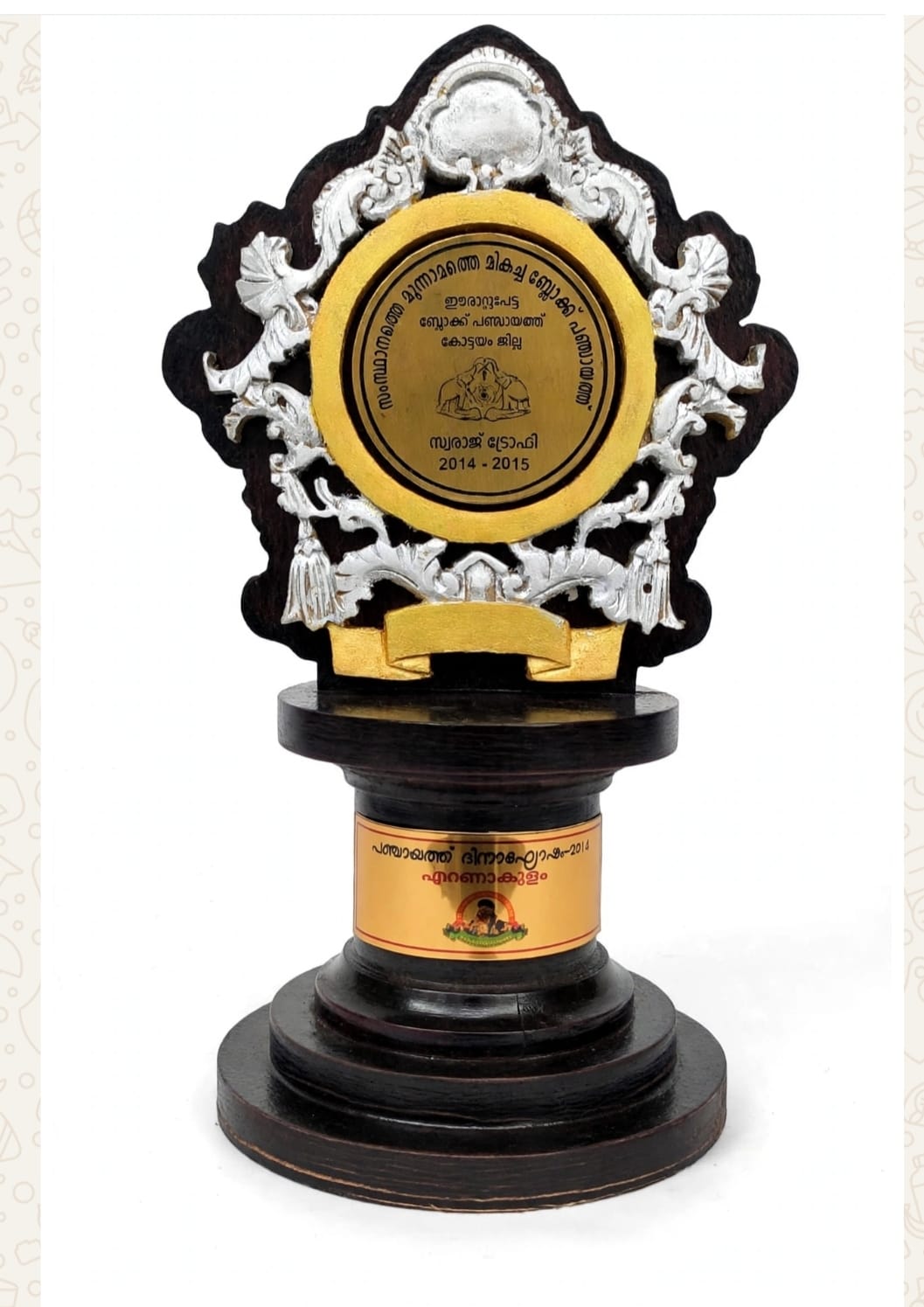 Swaraj Trophy 2014-2015 Third Place