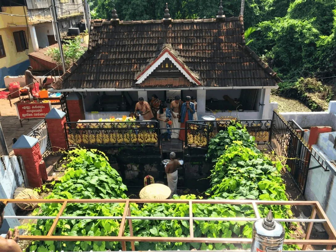 ഗാലറി
