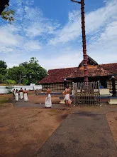 ഗാലറി