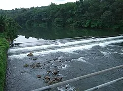 മണിമലയാര്‍ - മണിമല ഗ്രാമപഞ്ചായത്ത്