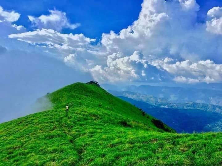 പാൽകുളംമേട്