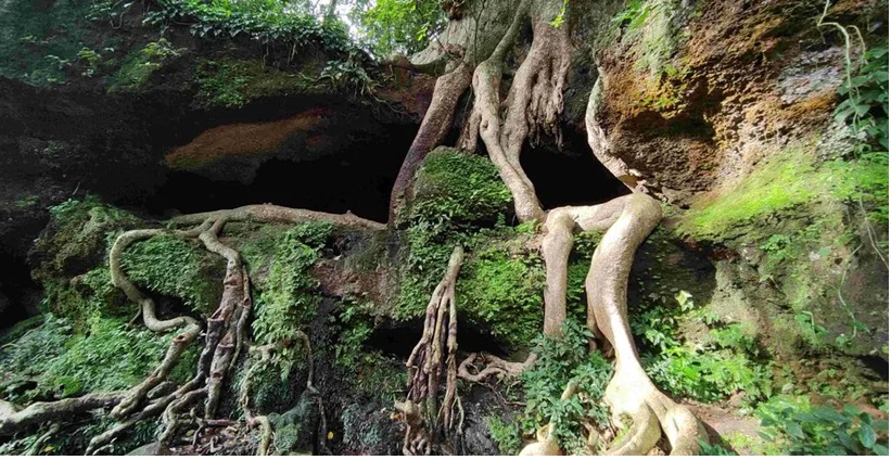 കൊച്ചരീയ്ക്കല്‍ ടൂറിസം