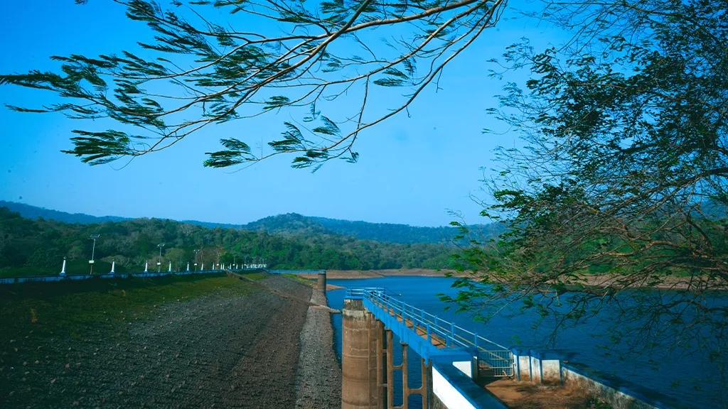 വാഴാനിഡാം