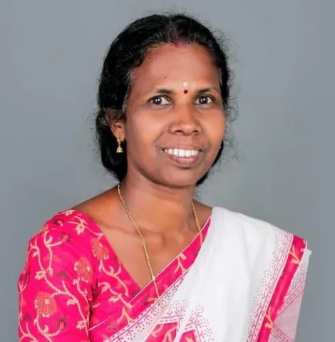 മിനി
