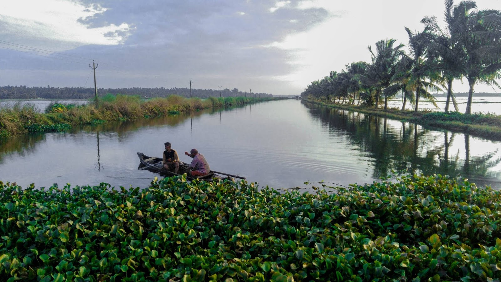 പുള്ള് പാടം