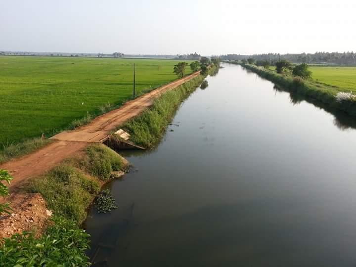 പുള്ള് പാടം