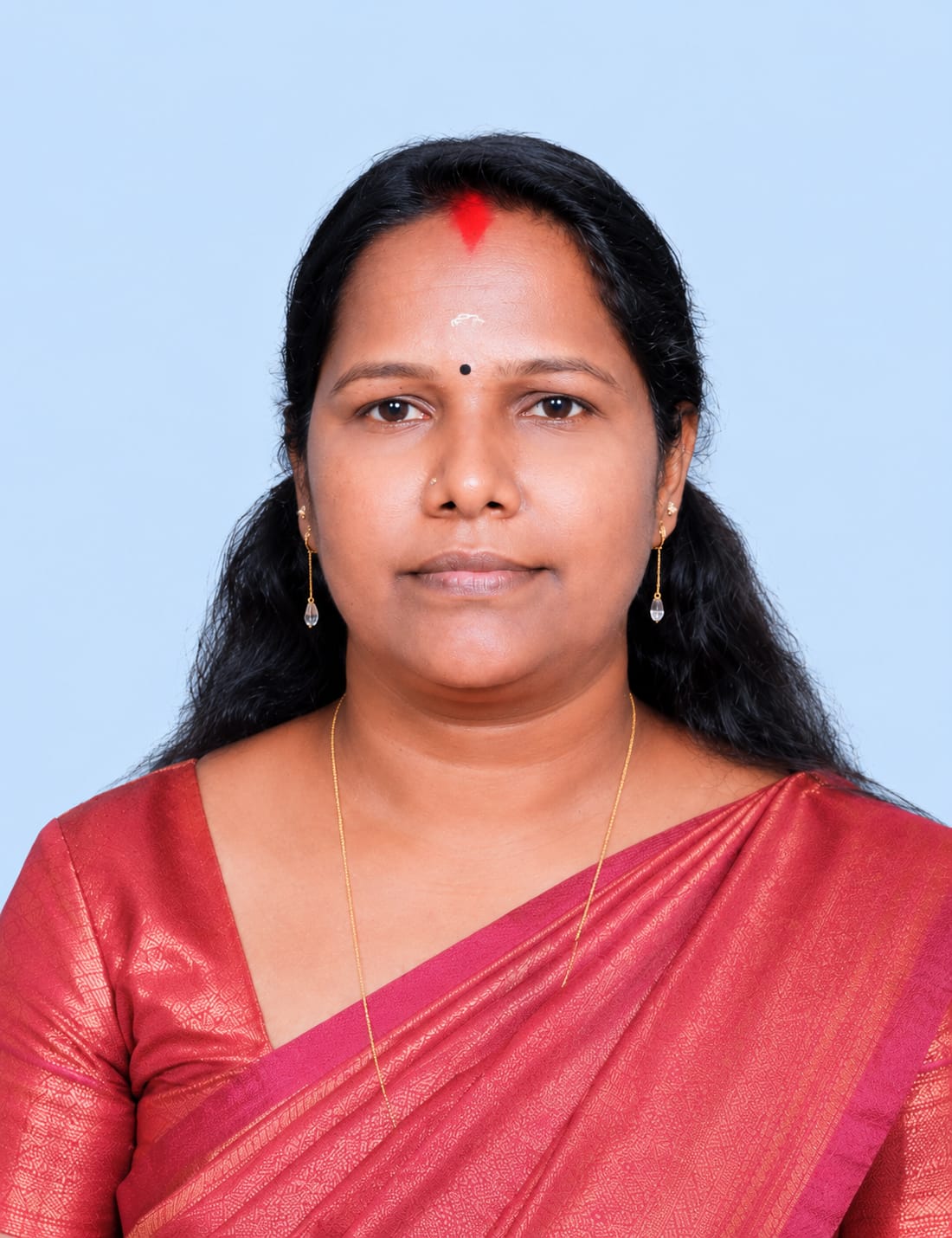 വൈസ് പ്രസിഡൻ്റ്
