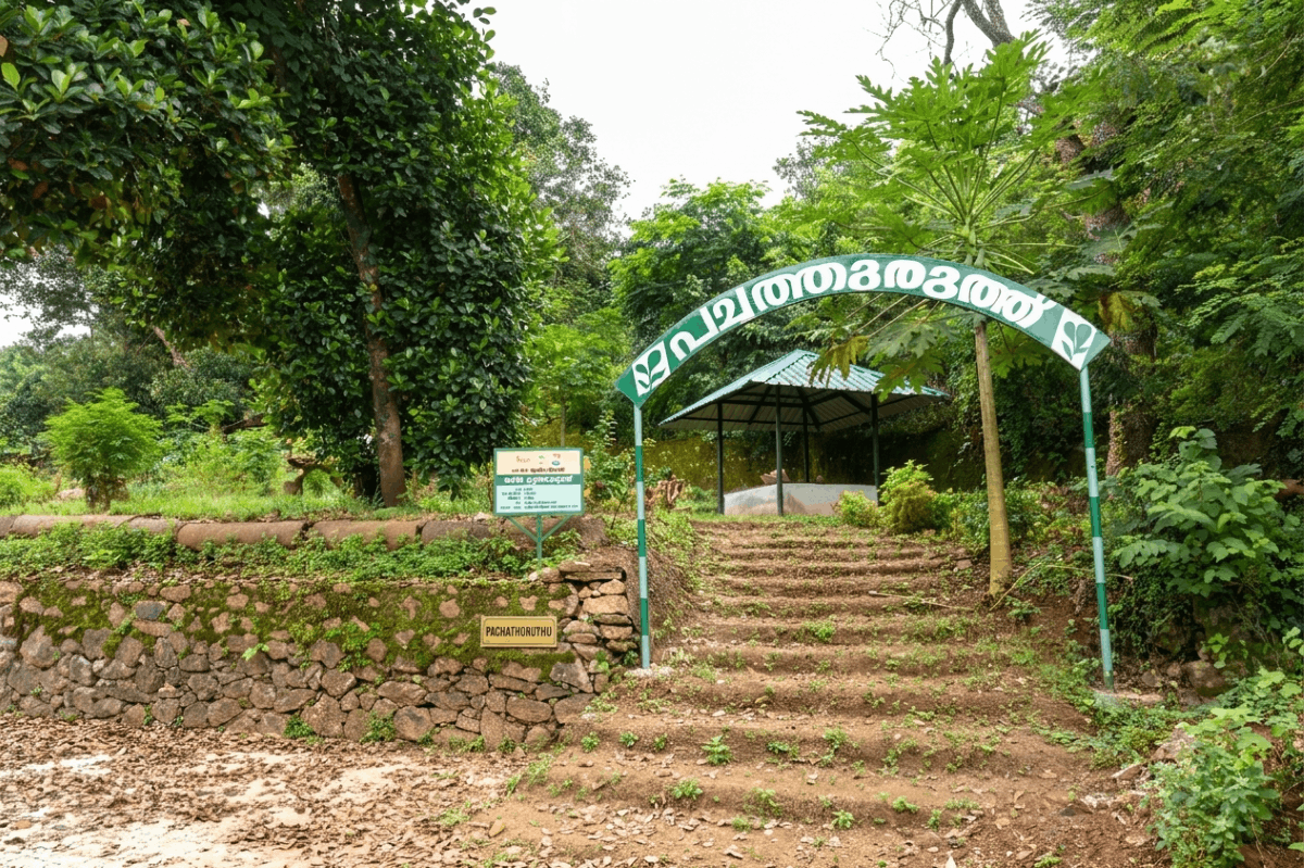 പച്ചതുരുത്ത്