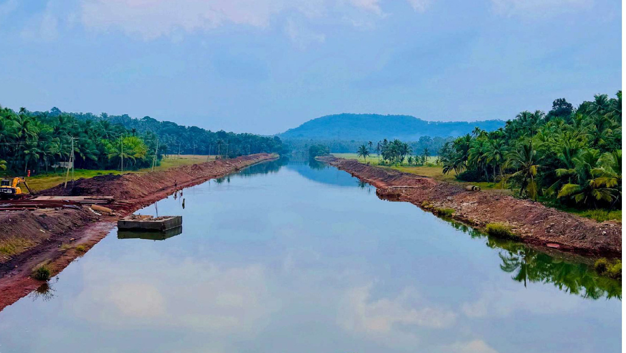 കന്നിനട