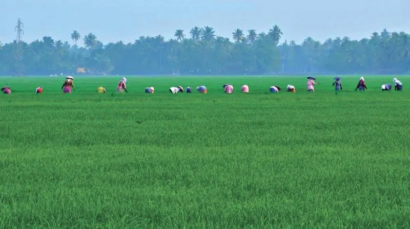 ചെരണ്ടത്തൂര്‍ ചിറ