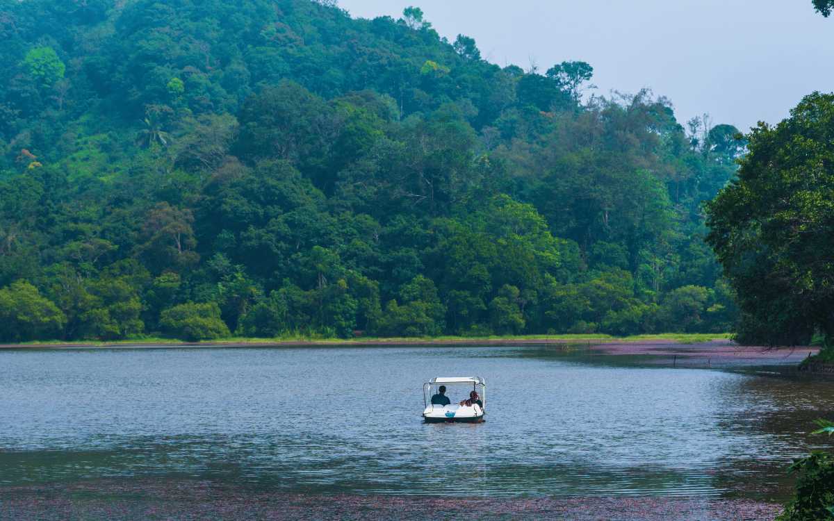 പൂക്കോട് തടാകം
