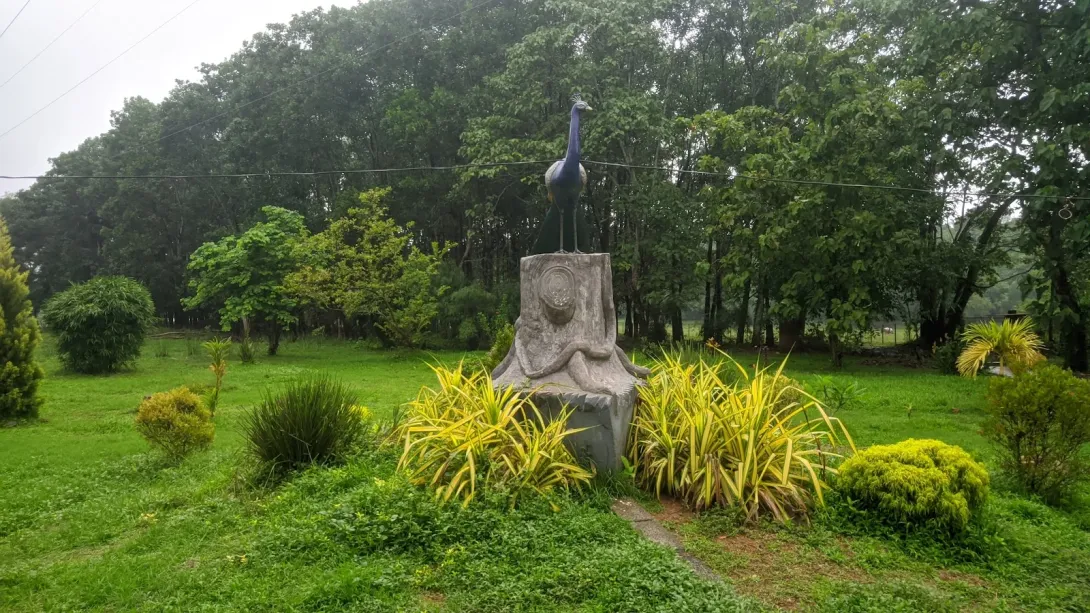 പെരുമ്പറമ്പ് ഇക്കോ ടൂറിസം