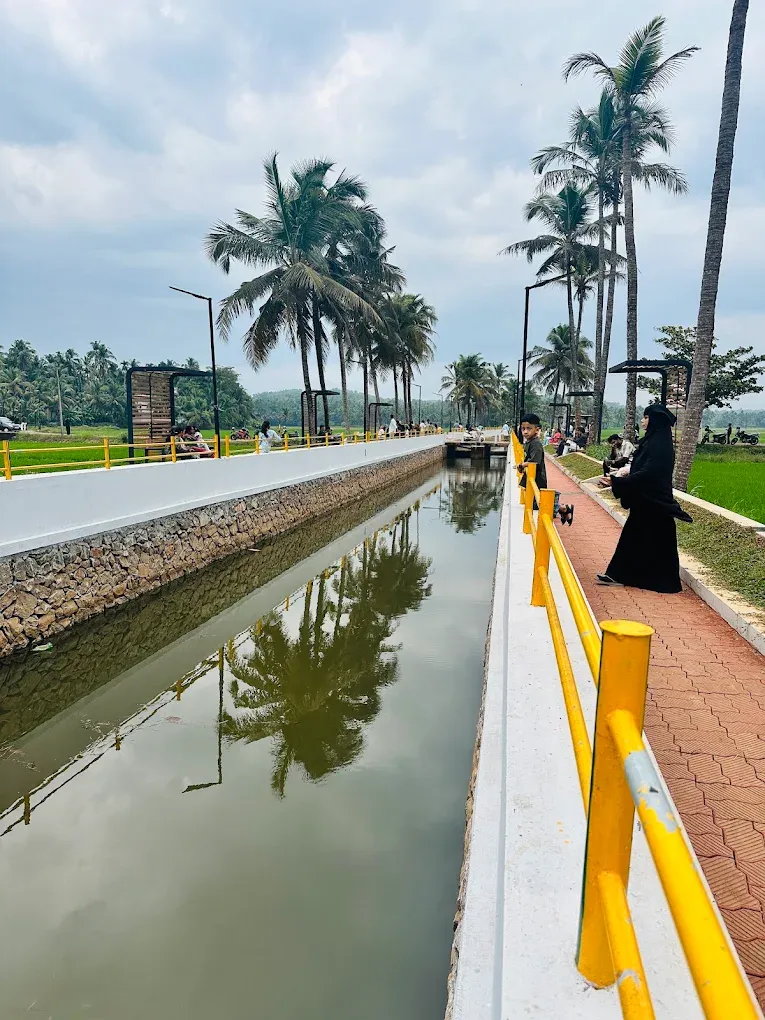 കൊടക്കവയൽ വിളിക്കുന്നു..; വയൽക്കാറ്റ് കൊണ്ടും മീൻപിടിച്ചും കഥ പറഞ്ഞ് ഇരിക്കാം