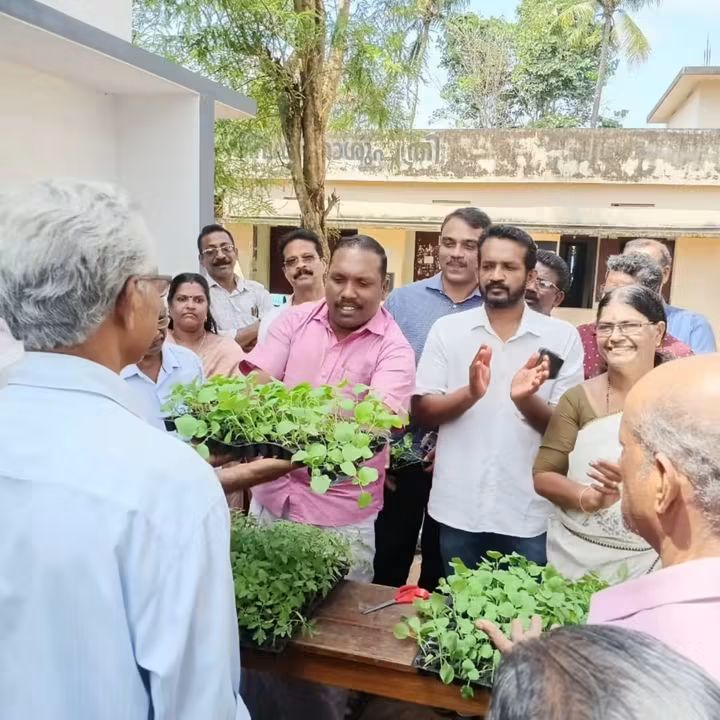 Vegetable seedling distribution