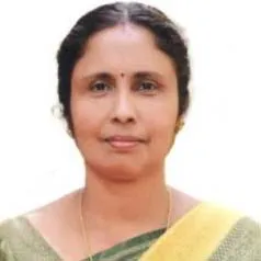 മിനി
