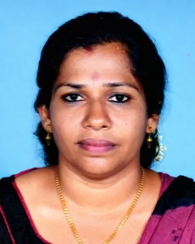 ഷൈനി വി