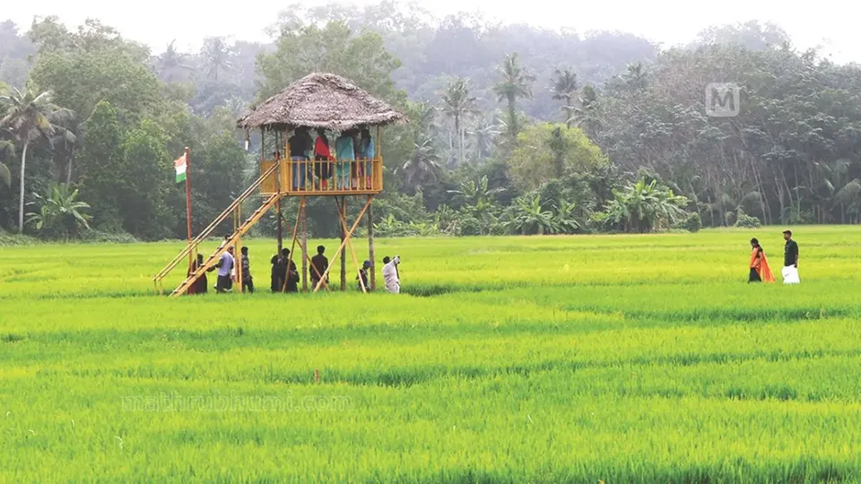 പിരപ്പമണ്‍കാടെന്ന 'പാട'പുസ്തകം; ഒരുഗ്രാമം കൃഷി തിരിച്ചുപിടിച്ച കഥ 