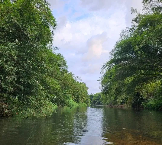 വാമനപുരം നദി