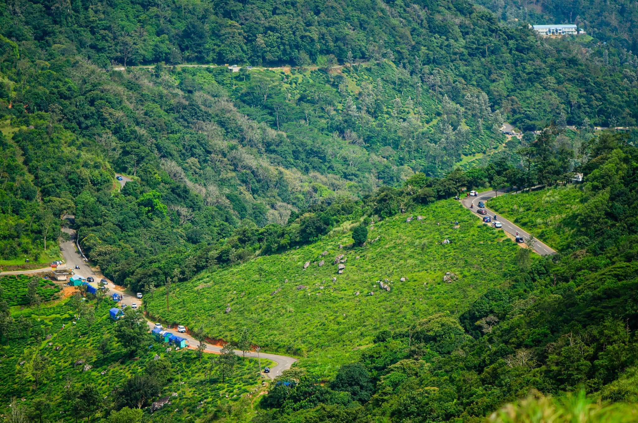 Ponmudi View