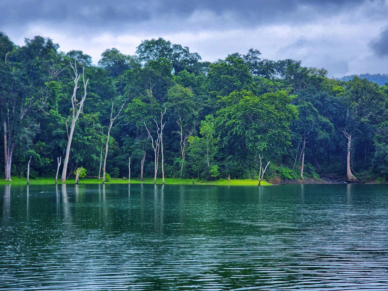 പേപ്പാറ വന്യജീവി സങ്കേതം