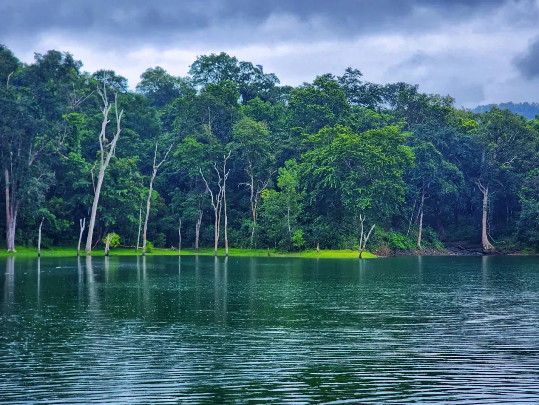 പേപ്പാറ  വന്യജീവി സങ്കേതം 