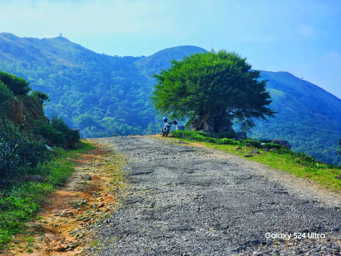 പേപ്പാറ 