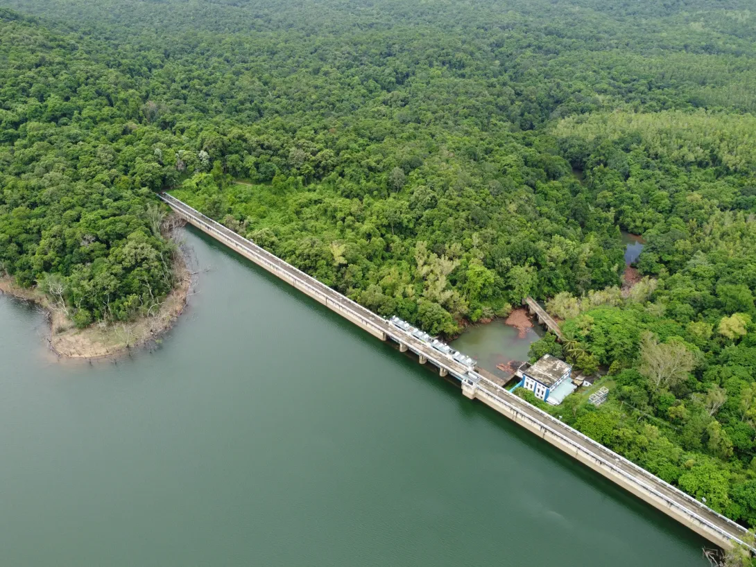 പേപ്പാറ ഡാം 