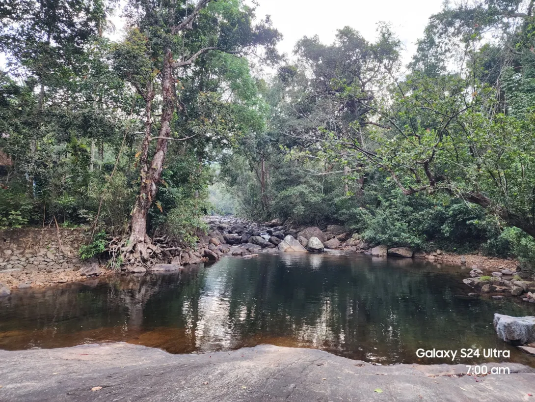 കല്ലാർ നദി 