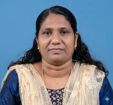 സിന്ധു ബി
