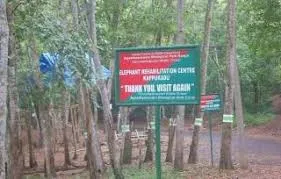 കോട്ടൂര്‍ ആന പരിപാലന കേന്ദ്രം
