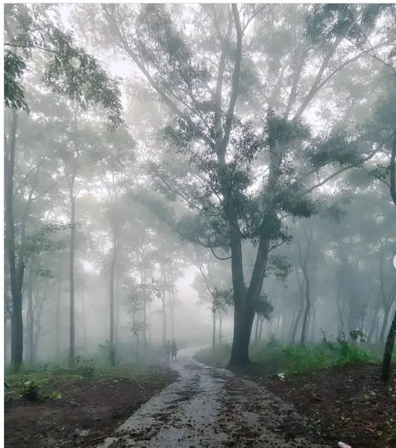 മലയടി