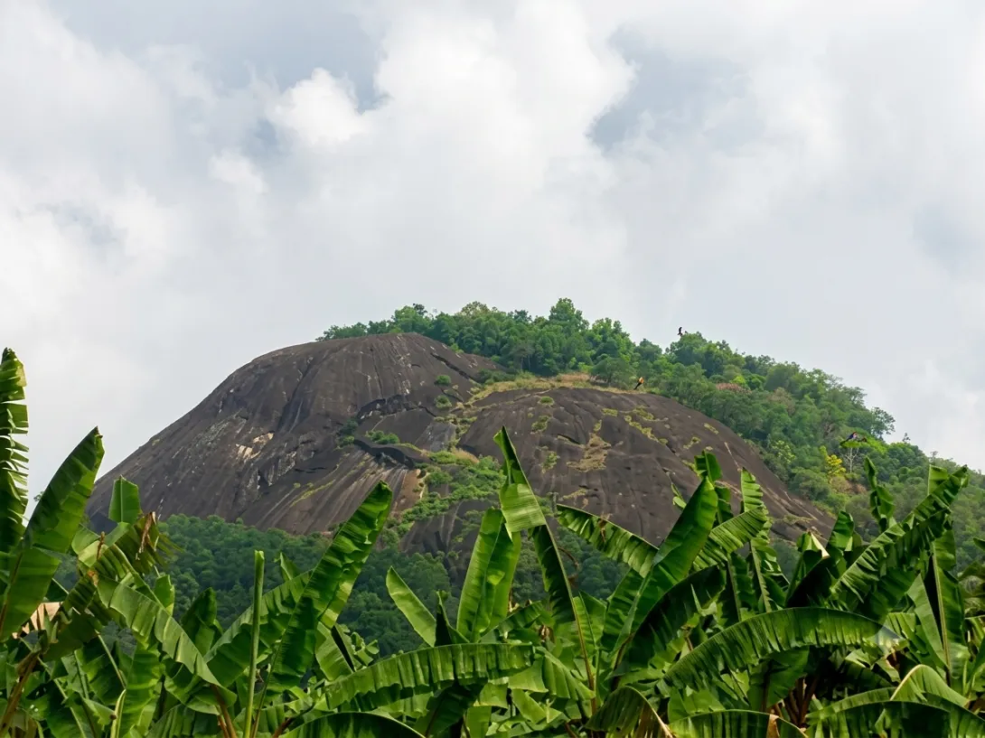 തിരിച്ചിറ്റൂർ പാറ