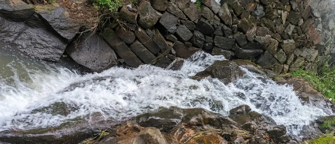 ചെറുവേലി ഇരപ്പ് 