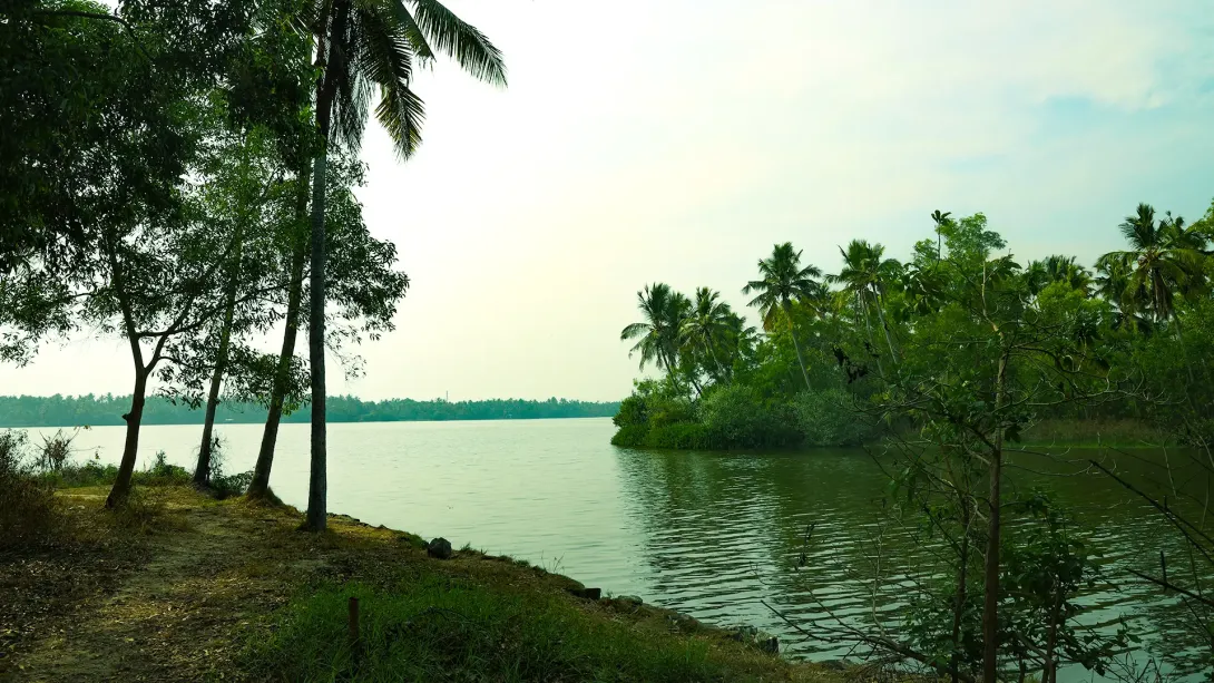 കഠിനംകുളം കായൽ