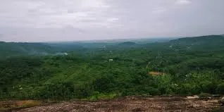 kadambu hills
