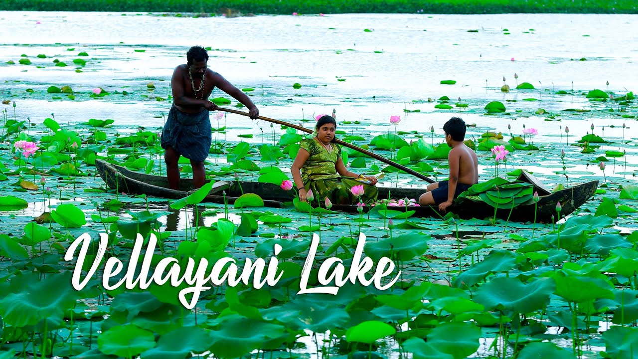 lake