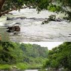 അരുവിപ്പുറം 