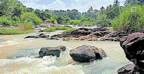 അരുവിപ്പുറം കടവ്