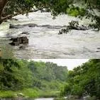 അരുവിപ്പുറം 