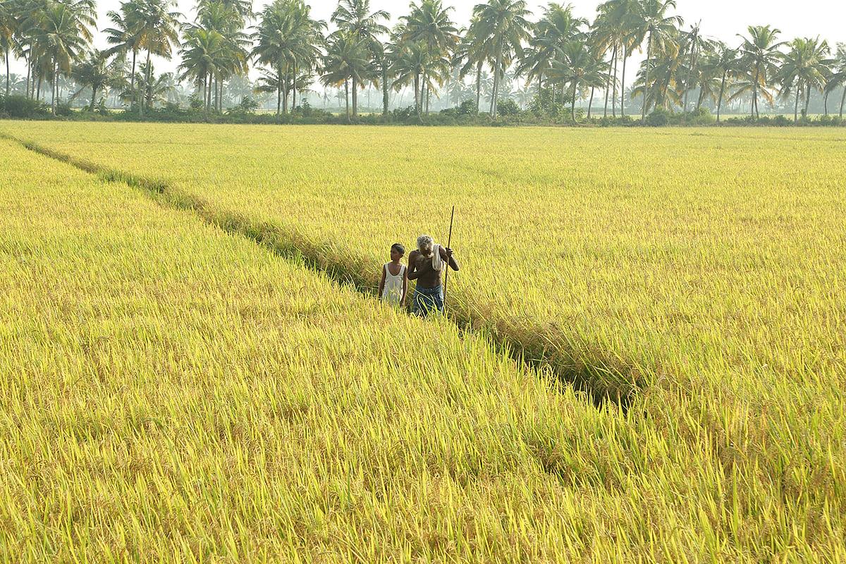 കളത്തറയ്ക്കല്‍  ഏല
