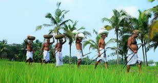 പാടം