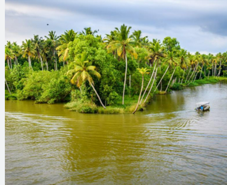 ബോട്ട് റൈഡ്